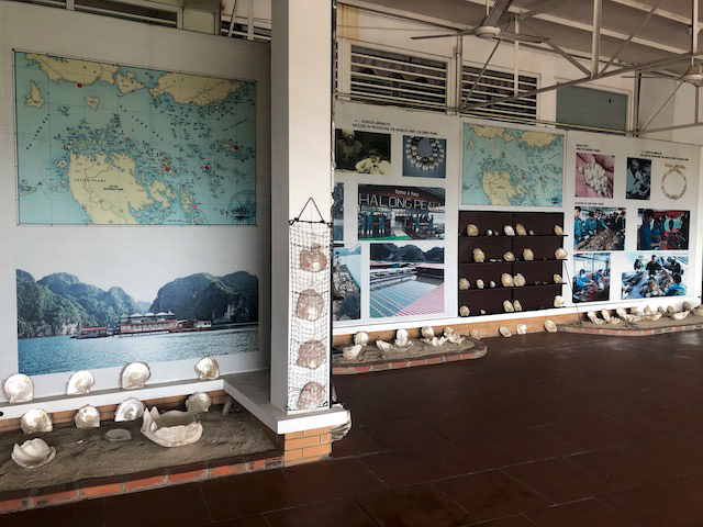 Museum on the way