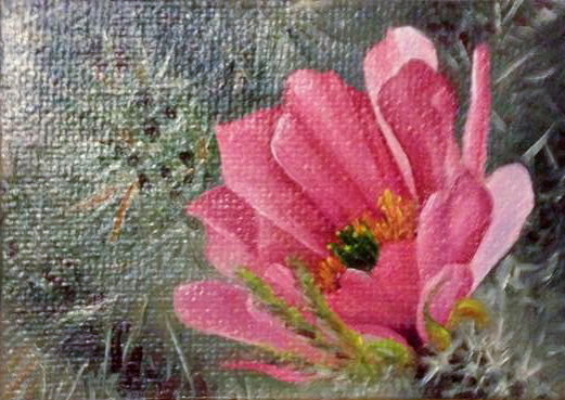 Pink Cactus Flower