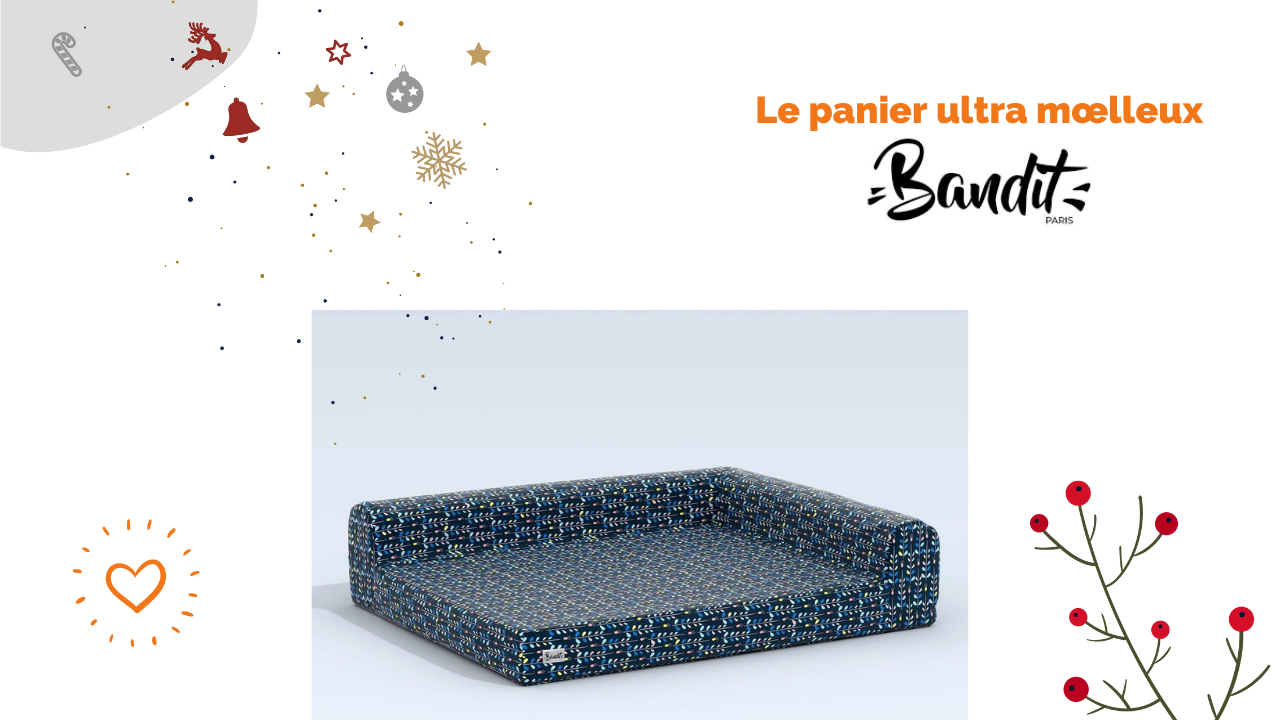 cadeau-chien-panier-bandit