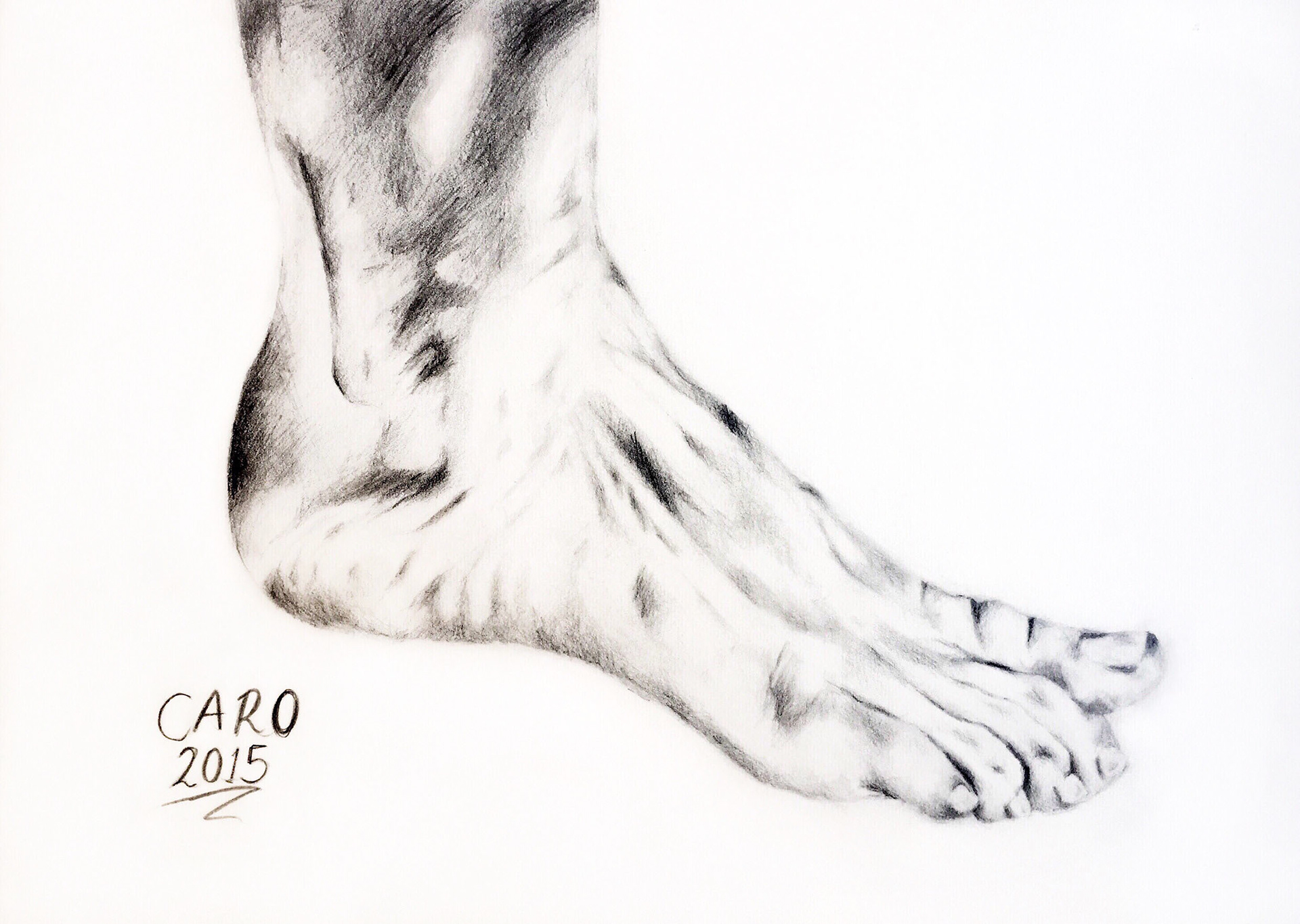 Right Foot, graphite on card paper, 8.27 x 11.69 inches, 2015