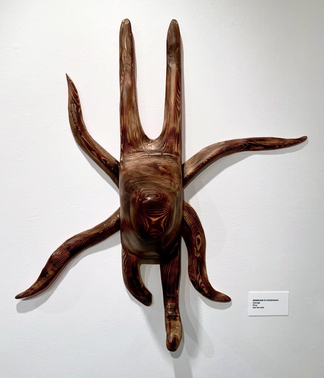 Octopus shaped out of pine wood hanging on the wall.