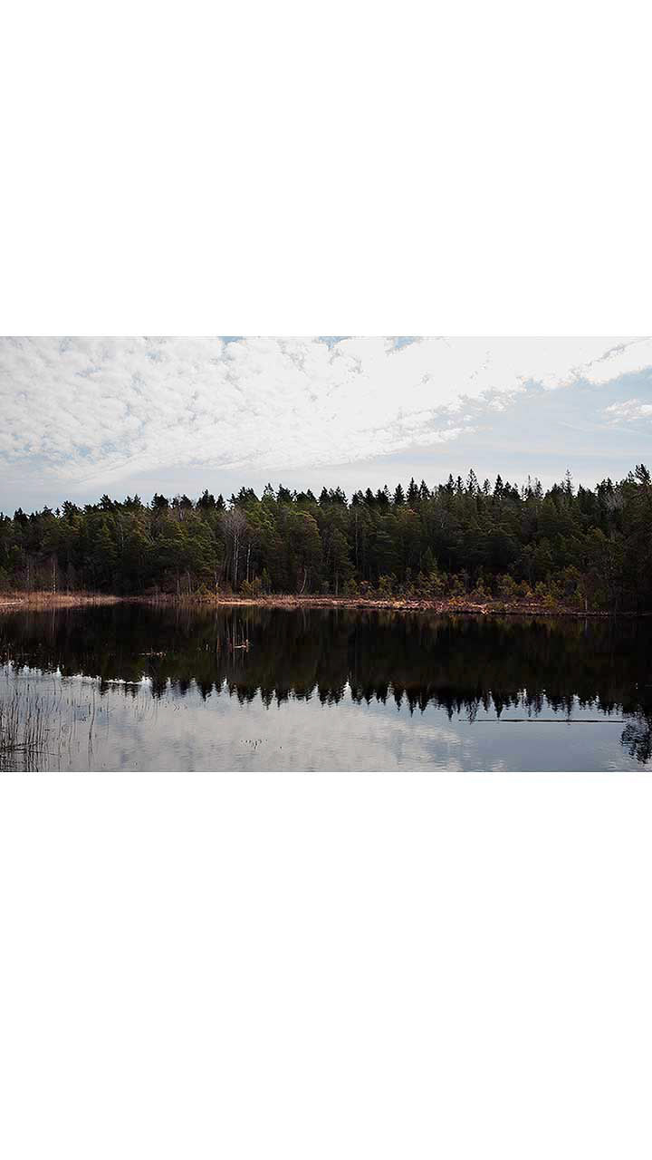 Gömmaren