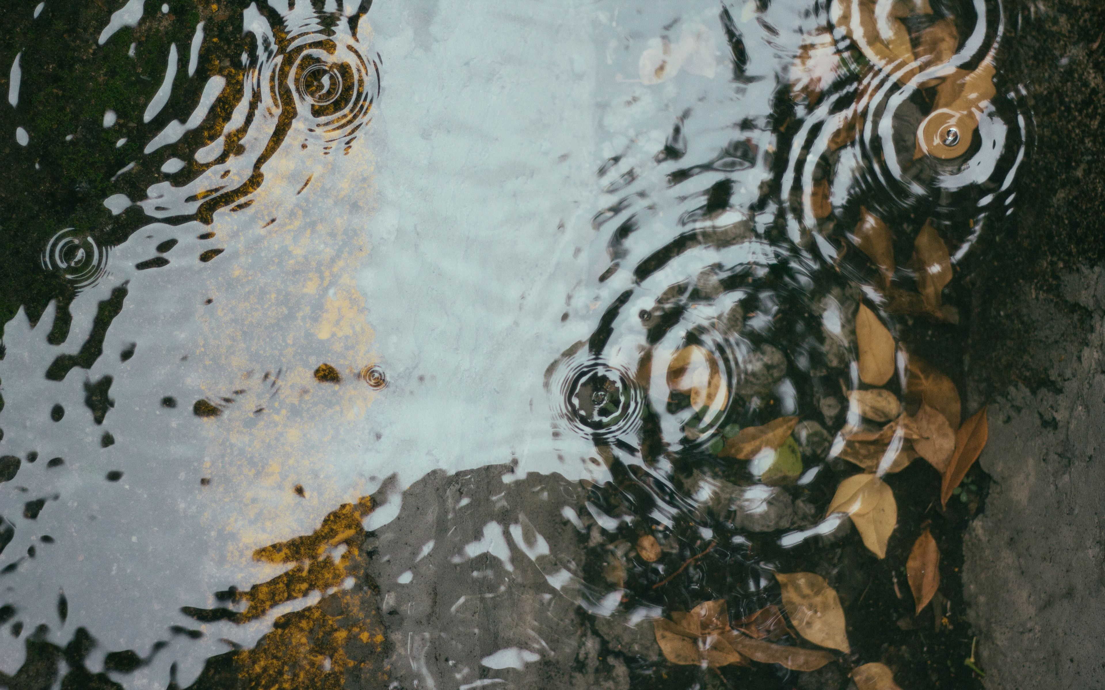 puddles #1