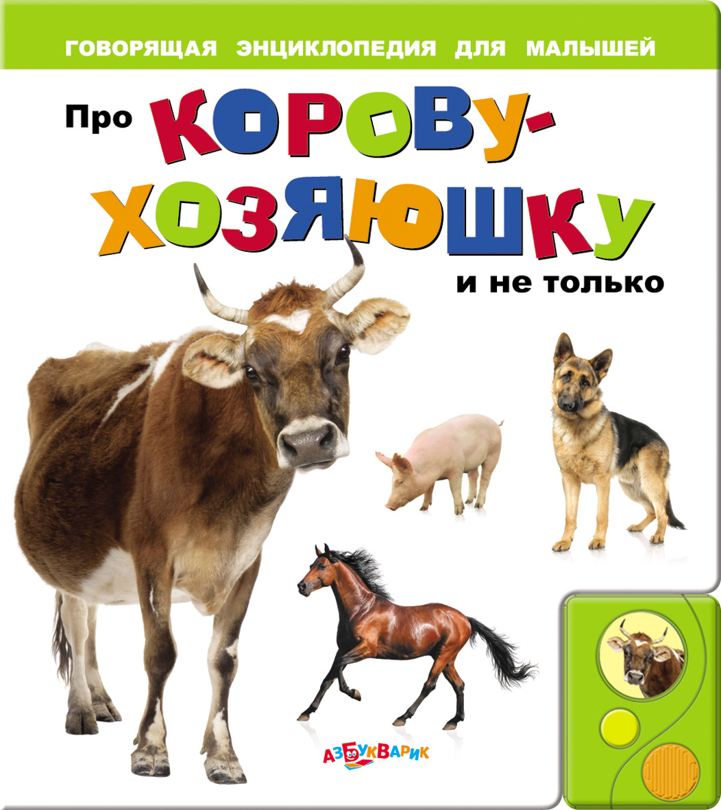 Книга только с картинками