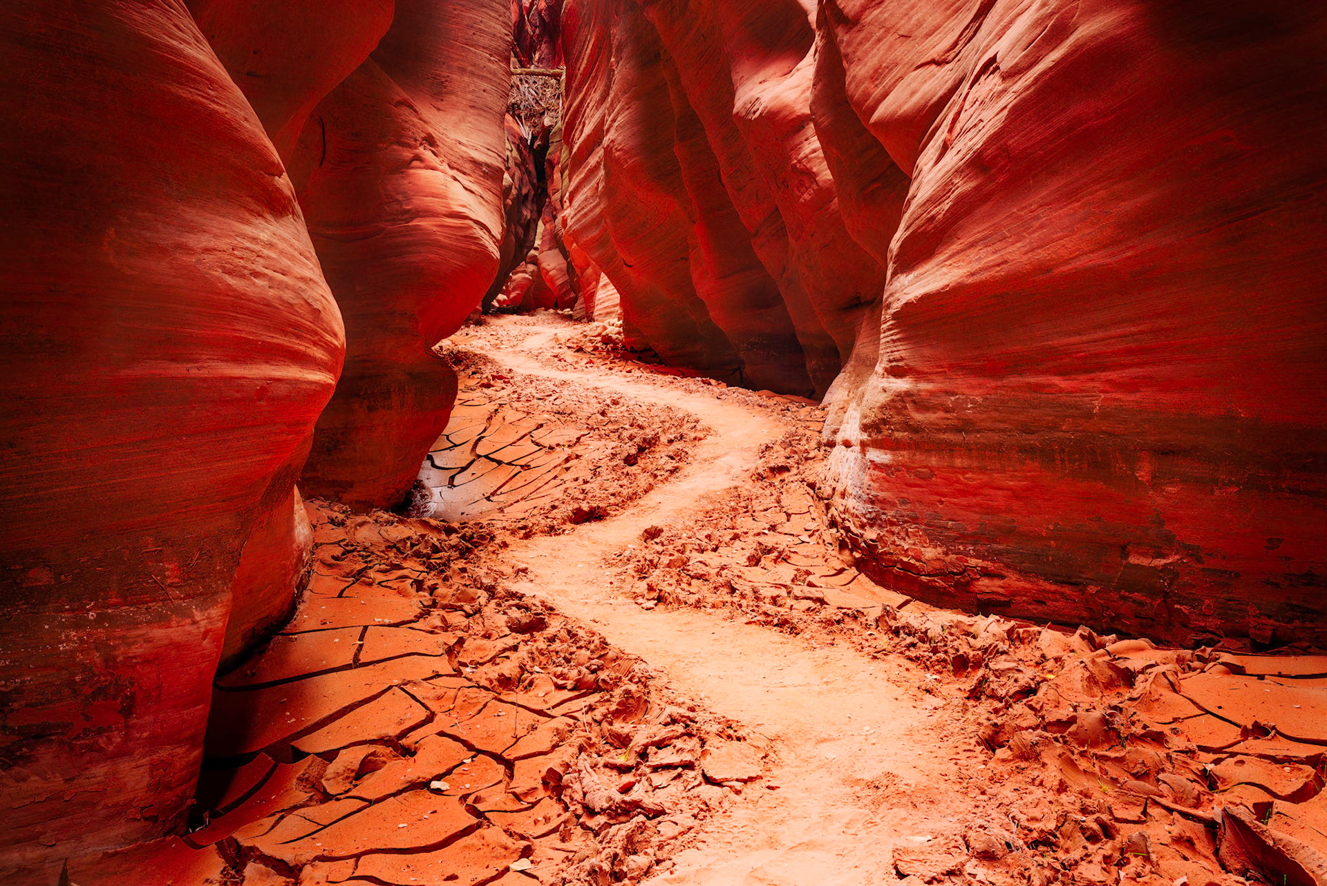 A mile or two into Buckskin Gulch.  If you view this in full screen mode, you'll probably notice a lot of debris from tree trunks and branches some 10+ metres above the canyon floor.  This debris is from flash floods.Many slot canyons are the drainage of stream whose source is many miles away.  It may be completely sunny in the canyon, but if there's a thunderstorm dumping a large amount of rain into the drainage of that canyon, the consequences for you may be fatalGrand Staircase - Escalante National MonumentUtahNovember 13, 2017PENTAX K-1, HD PENTAX-D FA 24-70mm F2.8ED SDM WRISO 100 36 mm  1.0 sec at ƒ / 11