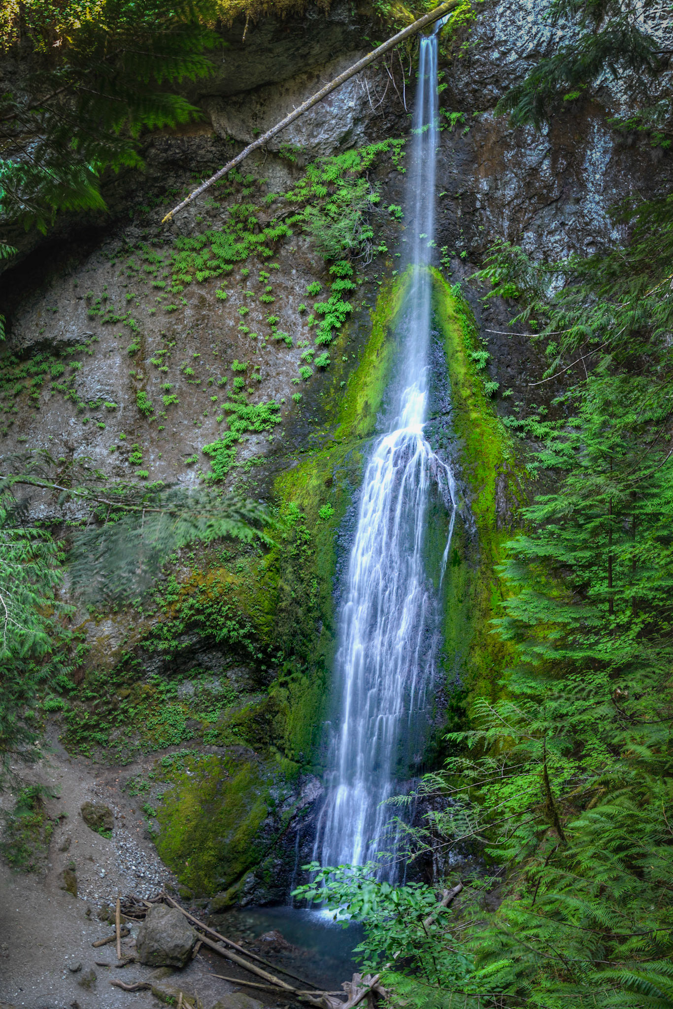Marymere FallsOlympic National ParkWashingtonJuly 28, 2016This is an HDR image consisting of 5 exposures merged in Photomatix Pro. Additional processing in Lightroom and Photoshop.PENTAX K-1, HD PENTAX-D FA 15-30mm F2.8ED SDM WRISO 100 30 mm  0.4 sec at ƒ / 6.3