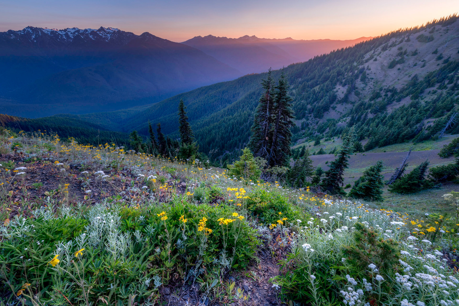 Sunset over the Olympic mountain range.Olympic National ParkWashingtonJuly 30, 2016This is an HDR image consisting of 5 exposures merged in Photomatix Pro. Additional processing in Lightroom and Photoshop.PENTAX K-1, HD PENTAX-D FA 15-30mm F2.8ED SDM WRISO 100 15 mm  ¼ sec at ƒ / 22