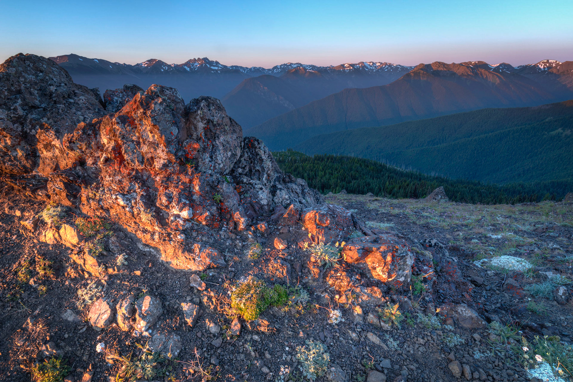 Rays from the rising sun brilliantly illuminating the colorful lichens on a rock outcropping on Blue Mountain.Olympic National ParkWashingtonAugust 1, 2016This is an HDR image consisting of 5 exposures merged in Photomatix Pro. Additional processing in Lightroom and Photoshop.PENTAX K-1, HD PENTAX-D FA 15-30mm F2.8ED SDM WRISO 100 19 mm  0.4 sec at ƒ / 22