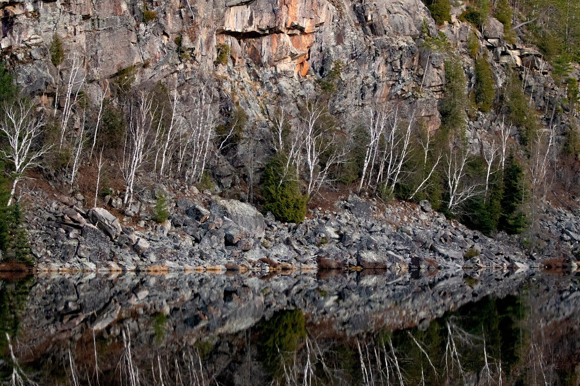 Fisher Lake Reflections