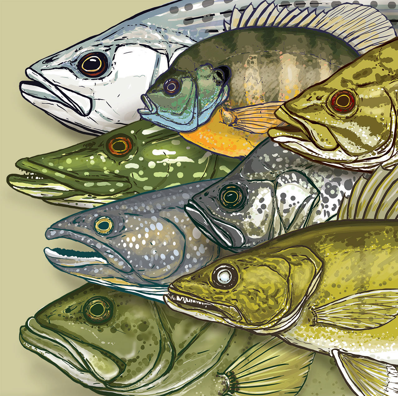 Download Fishboi Creative - Evan Wright