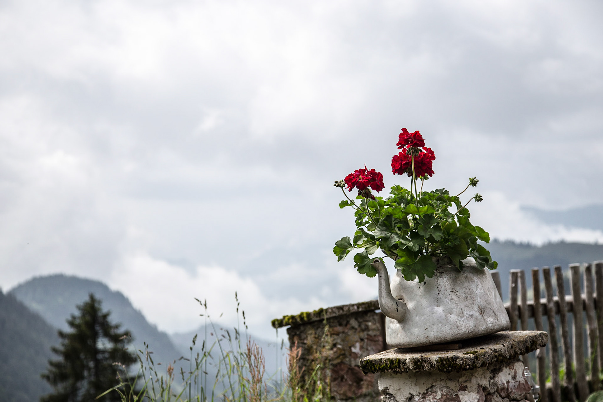 Flower Coffee Pot