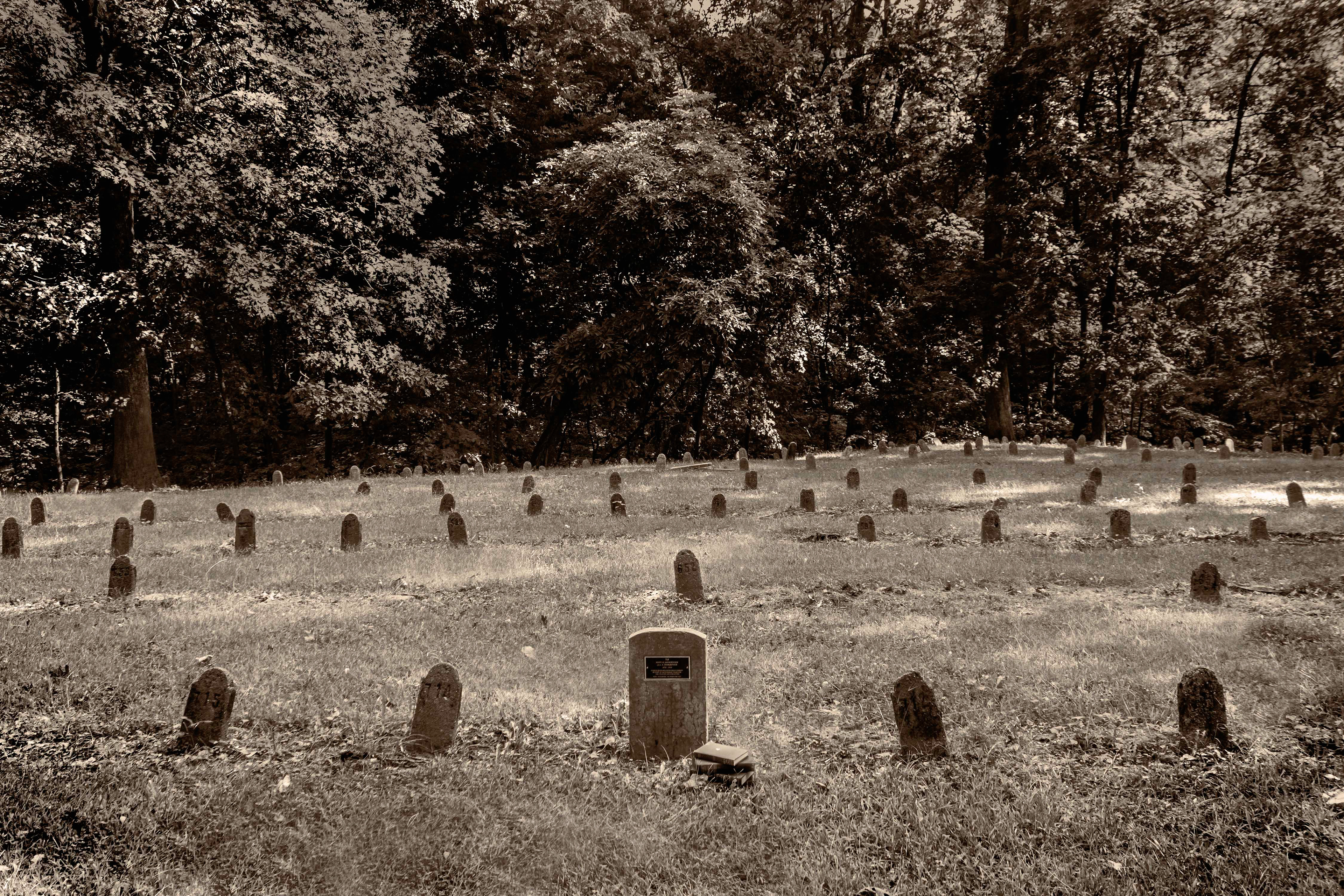 "We called him Ol' Book," he said.  If you listen close you might still hear him weeping by the old elm." 