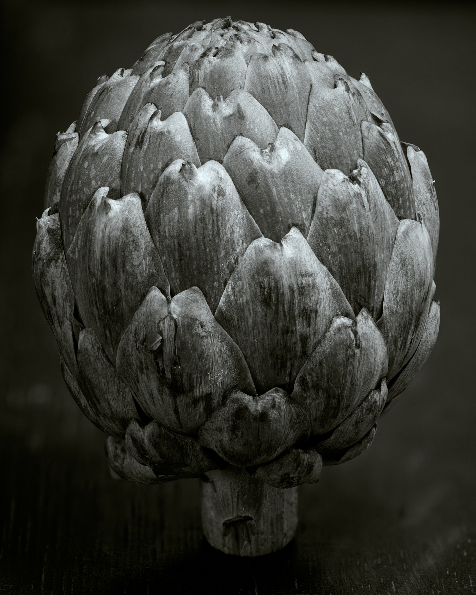 a free-standing artichoke in black and white, the light from the top right of the frame is bright and fades to a shadow on the underside, against a blurry background