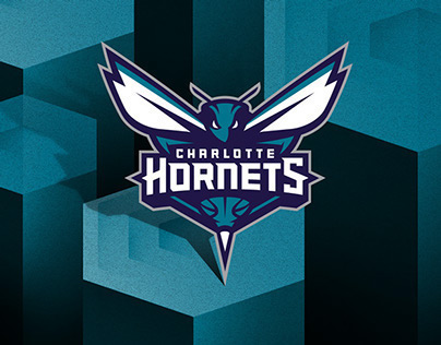 Charlotte Hornets Arena Illustration