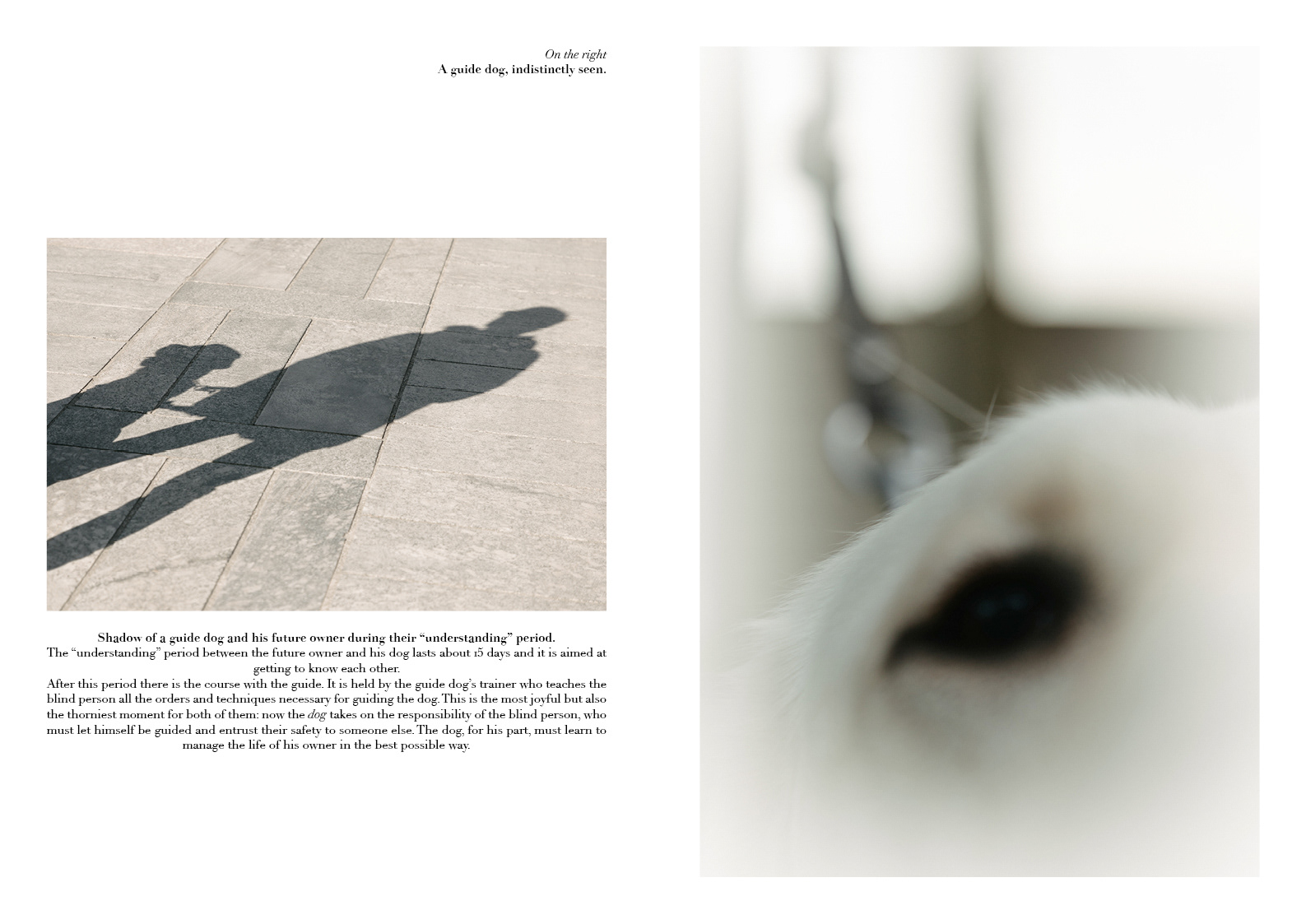© Camilla Calato Photography. Documentary project Through your eyes.