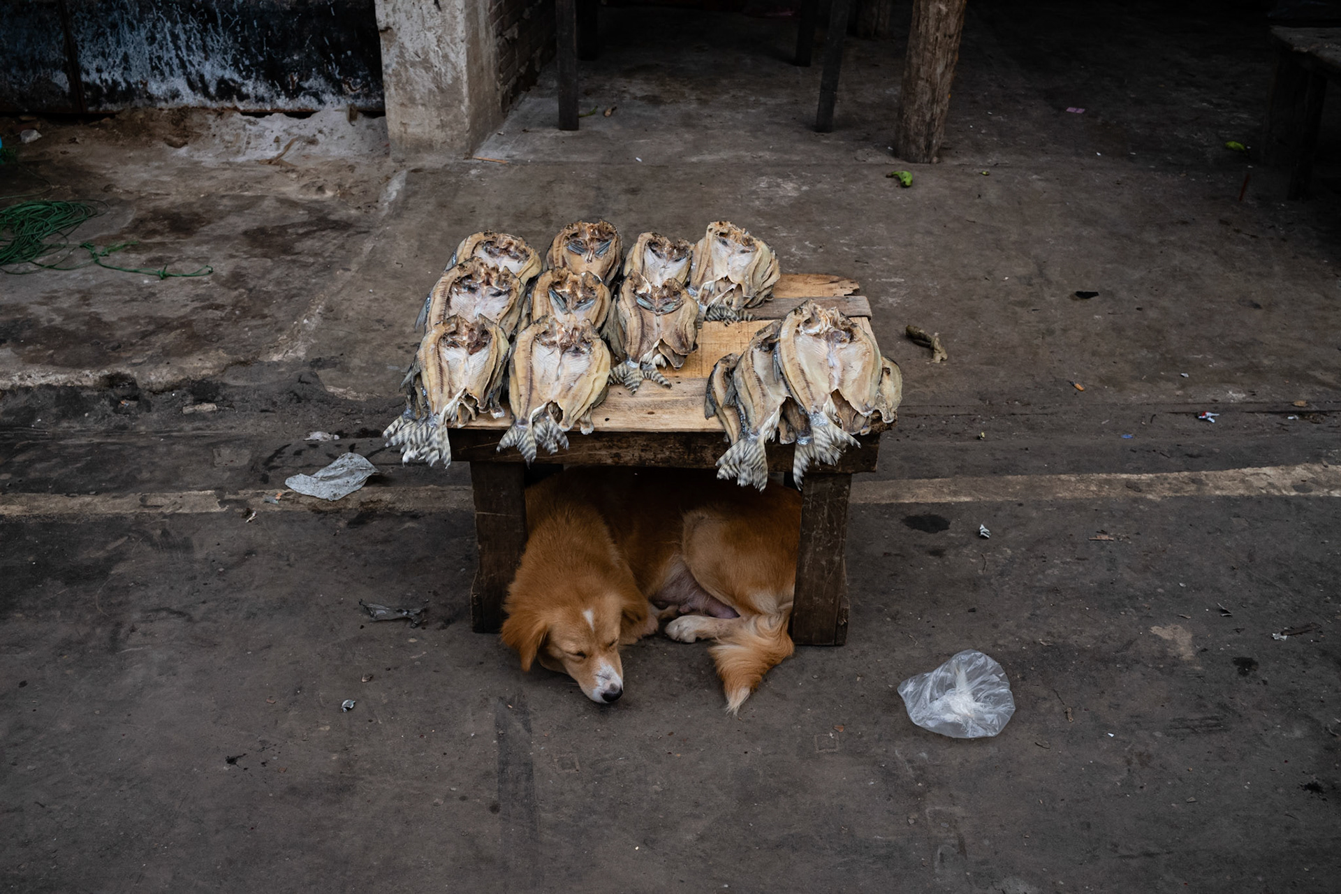 Iquitos, 2018