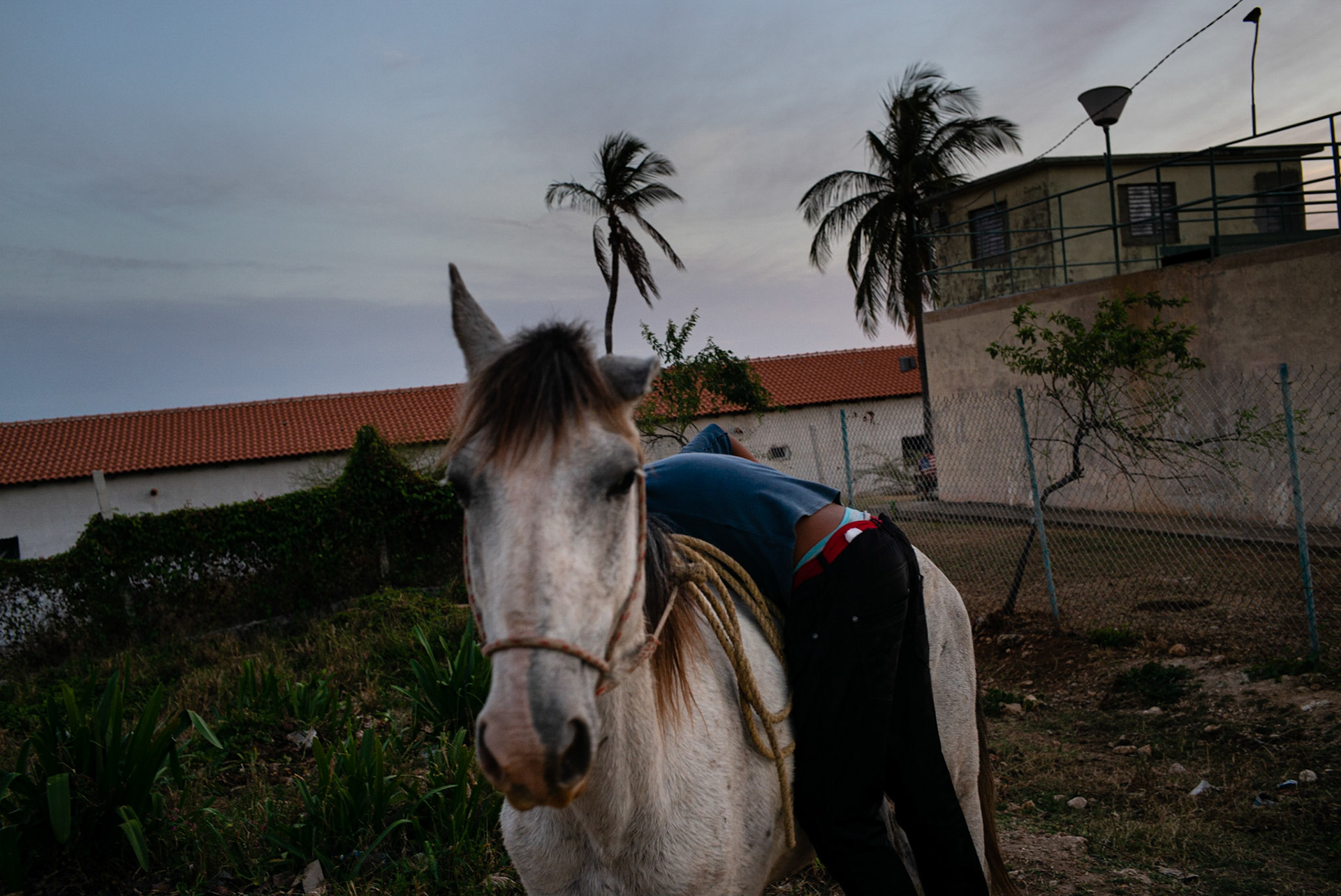 Trinidad, 2016