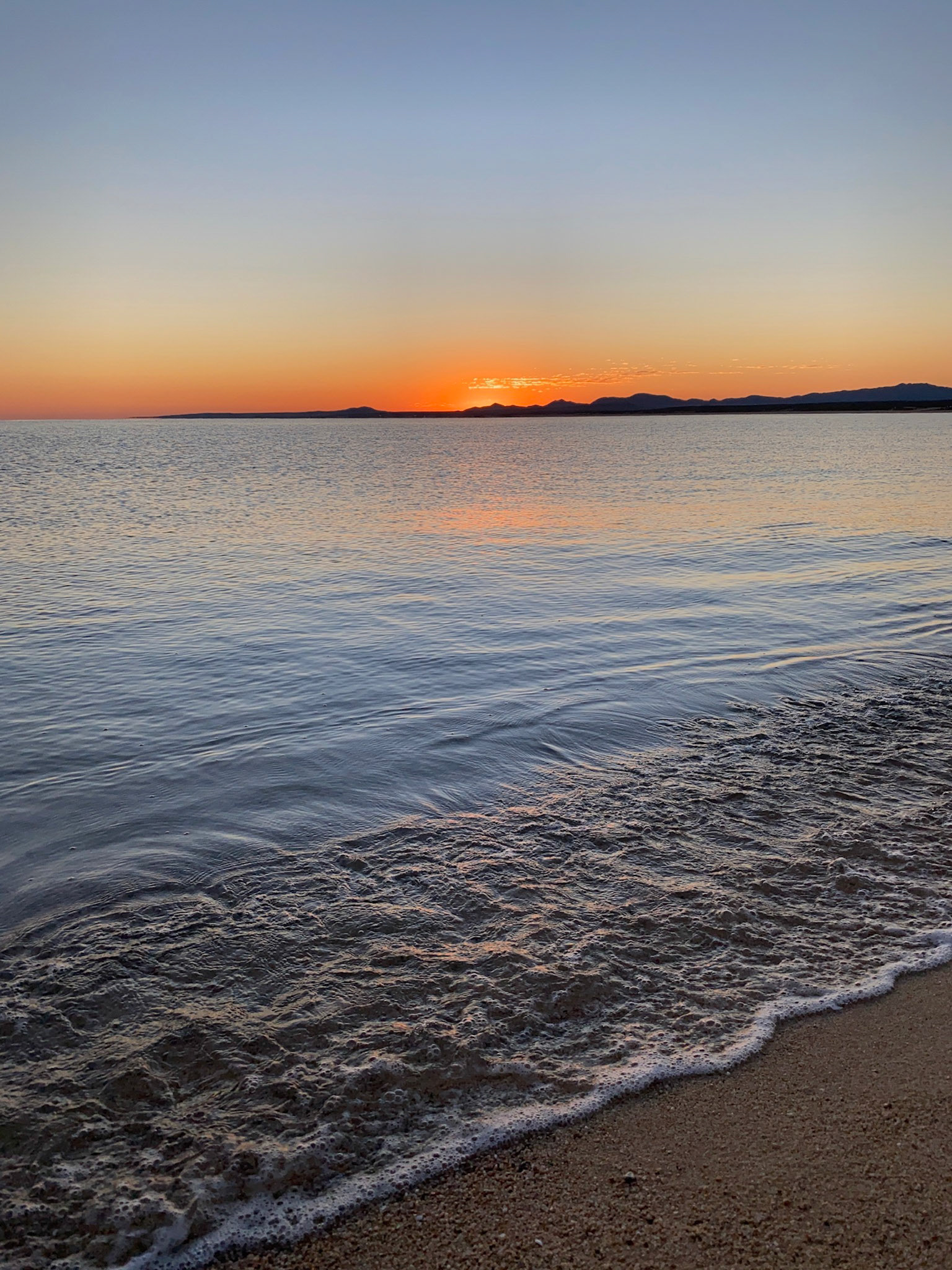 "Camp" 5: La Ventana