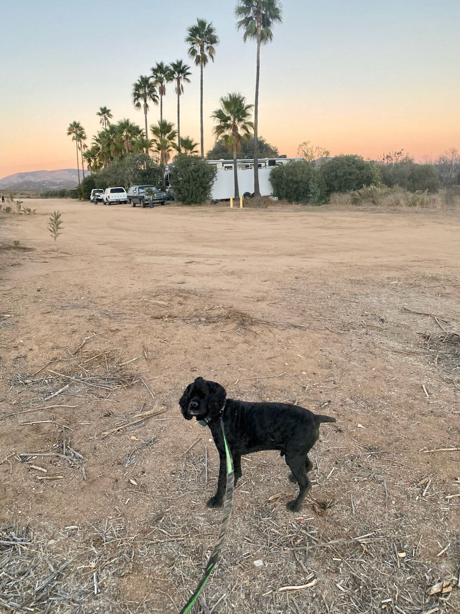 Camp 2 Diving Down: Guadalupe RV Park owned by Luke Everett, an ordained minister and director of the local school for the deaf.