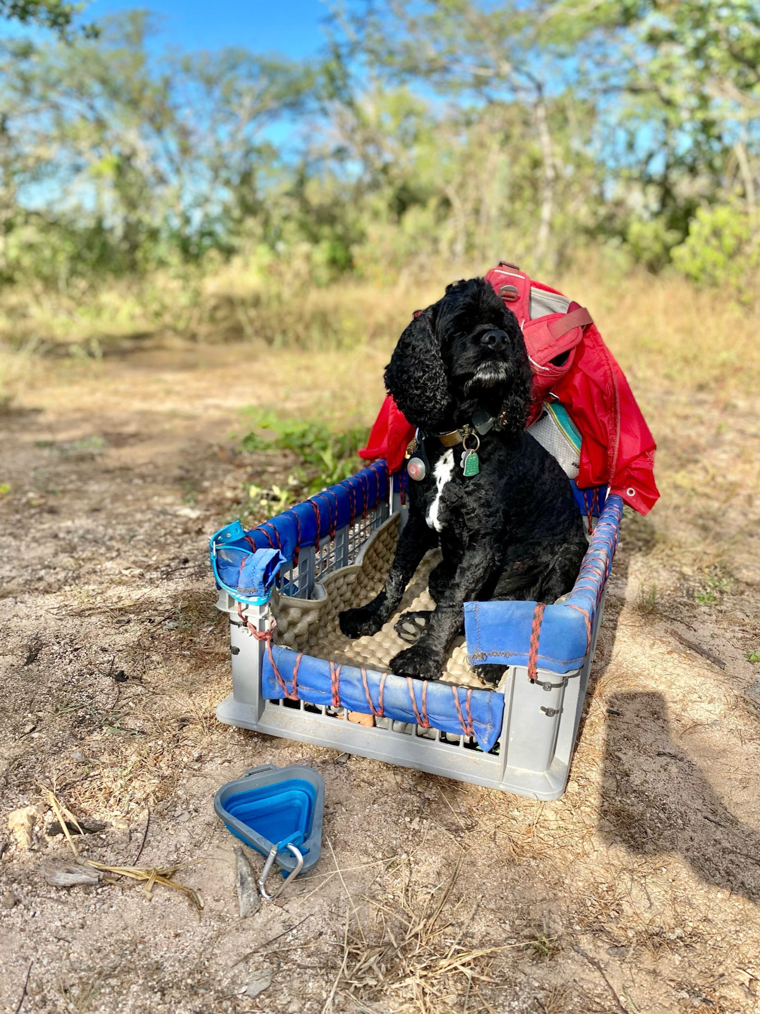Bike Camp 3: cleaned up and ready to ride