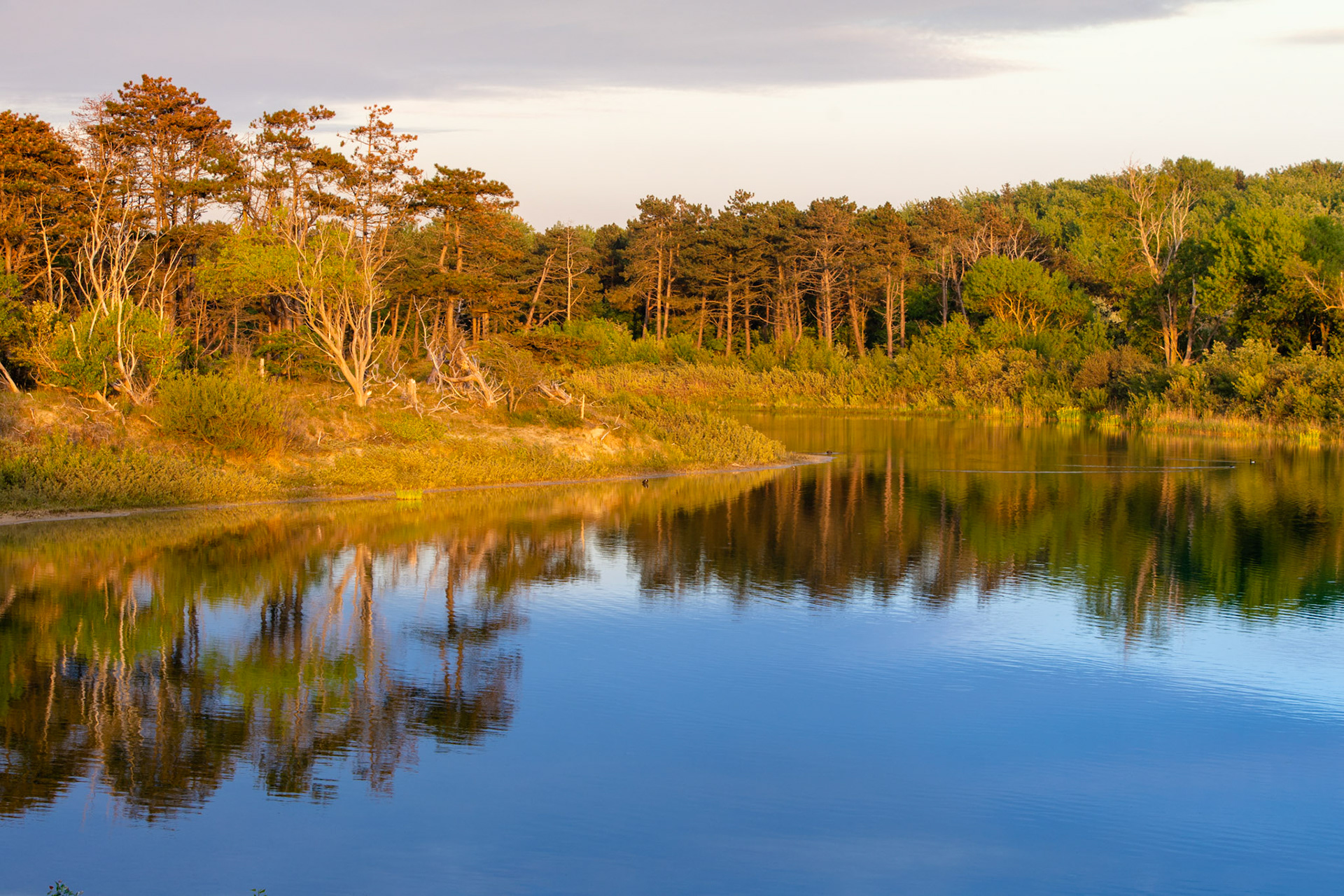 Ganzenhoek, Meijendel