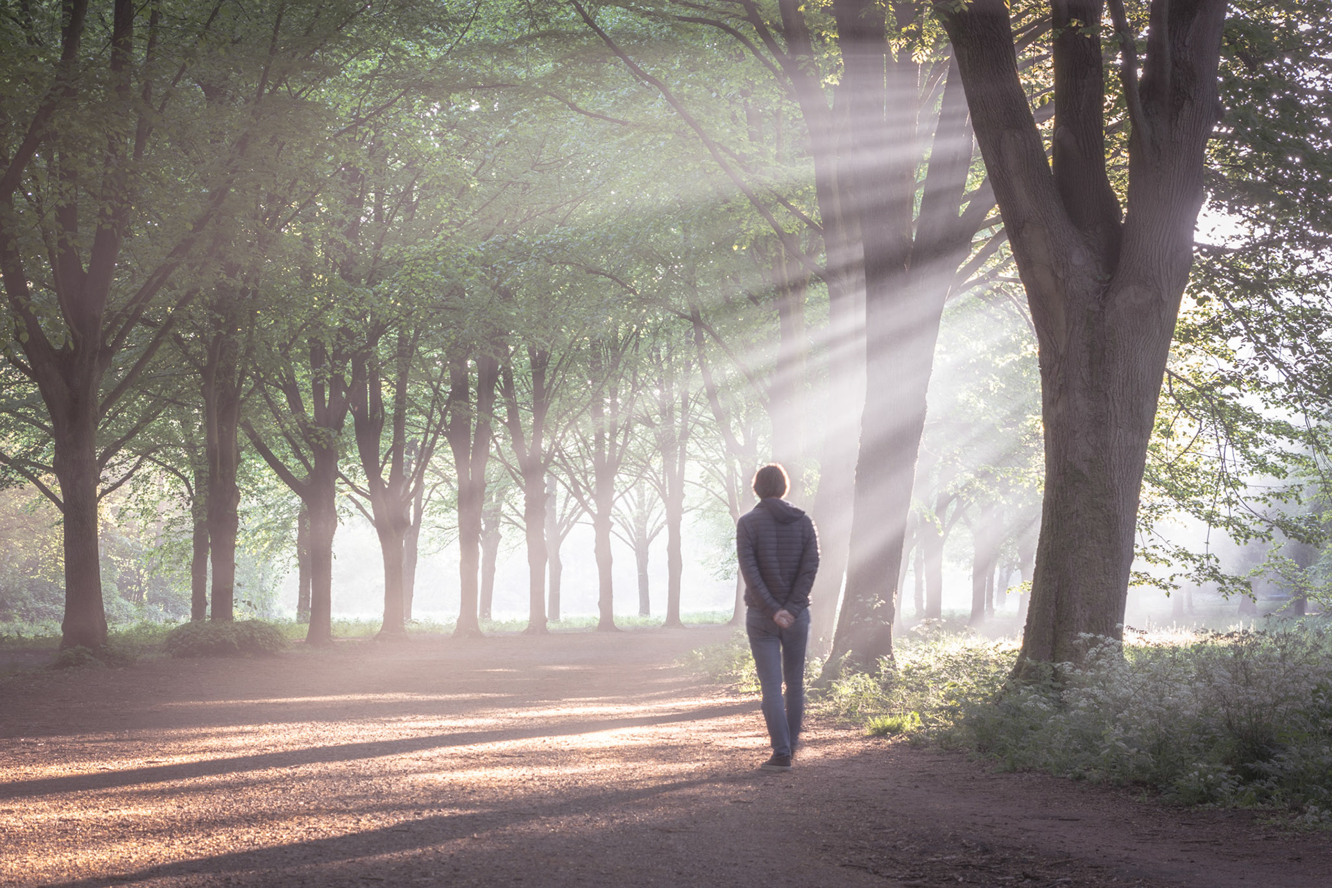 Amsterdamse Bos, Amsterdam