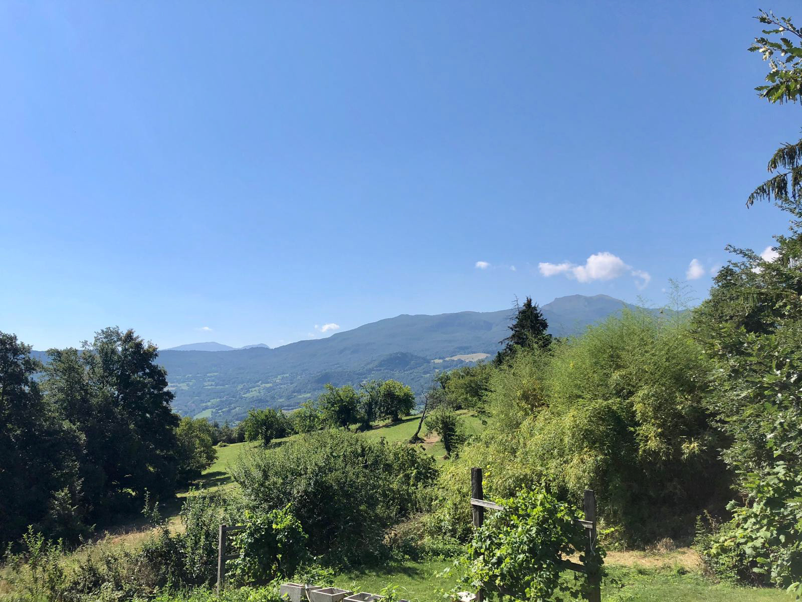 Seminario a cura di Natascia Putrone