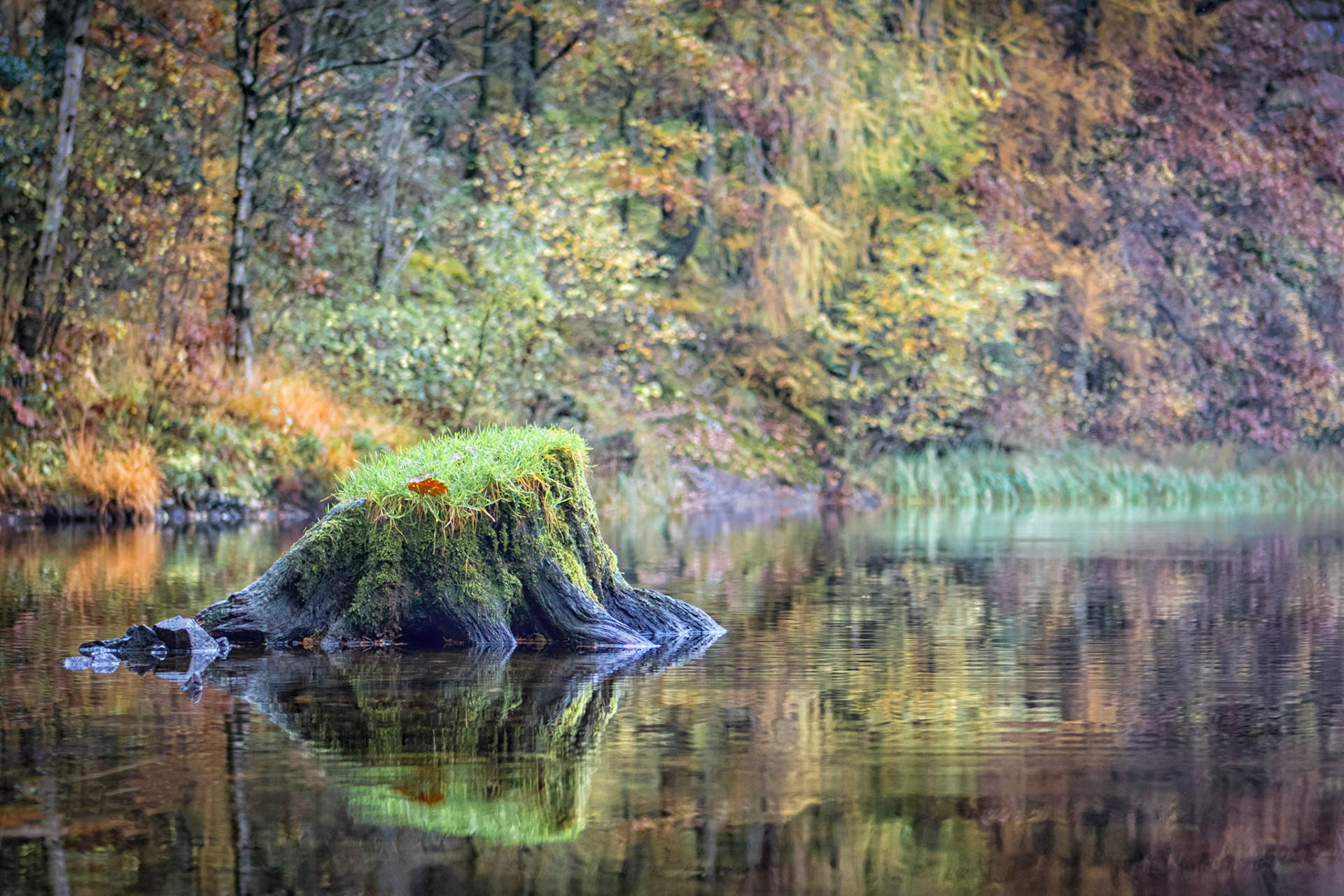 Autumn