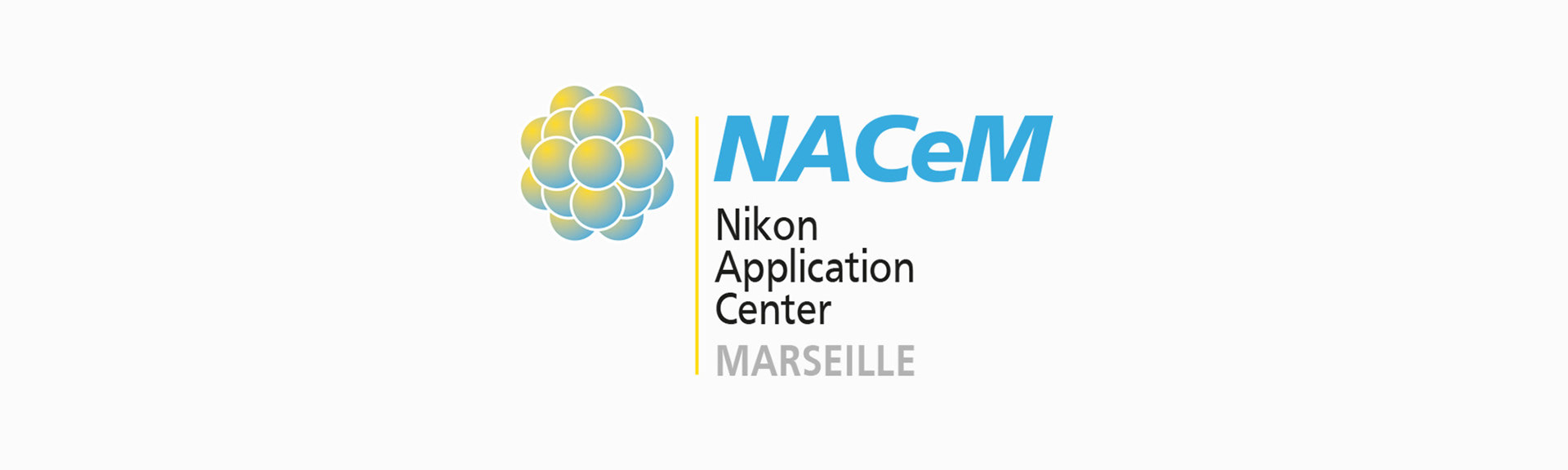 Logo pour le NACeM montrant une division cellulaire
