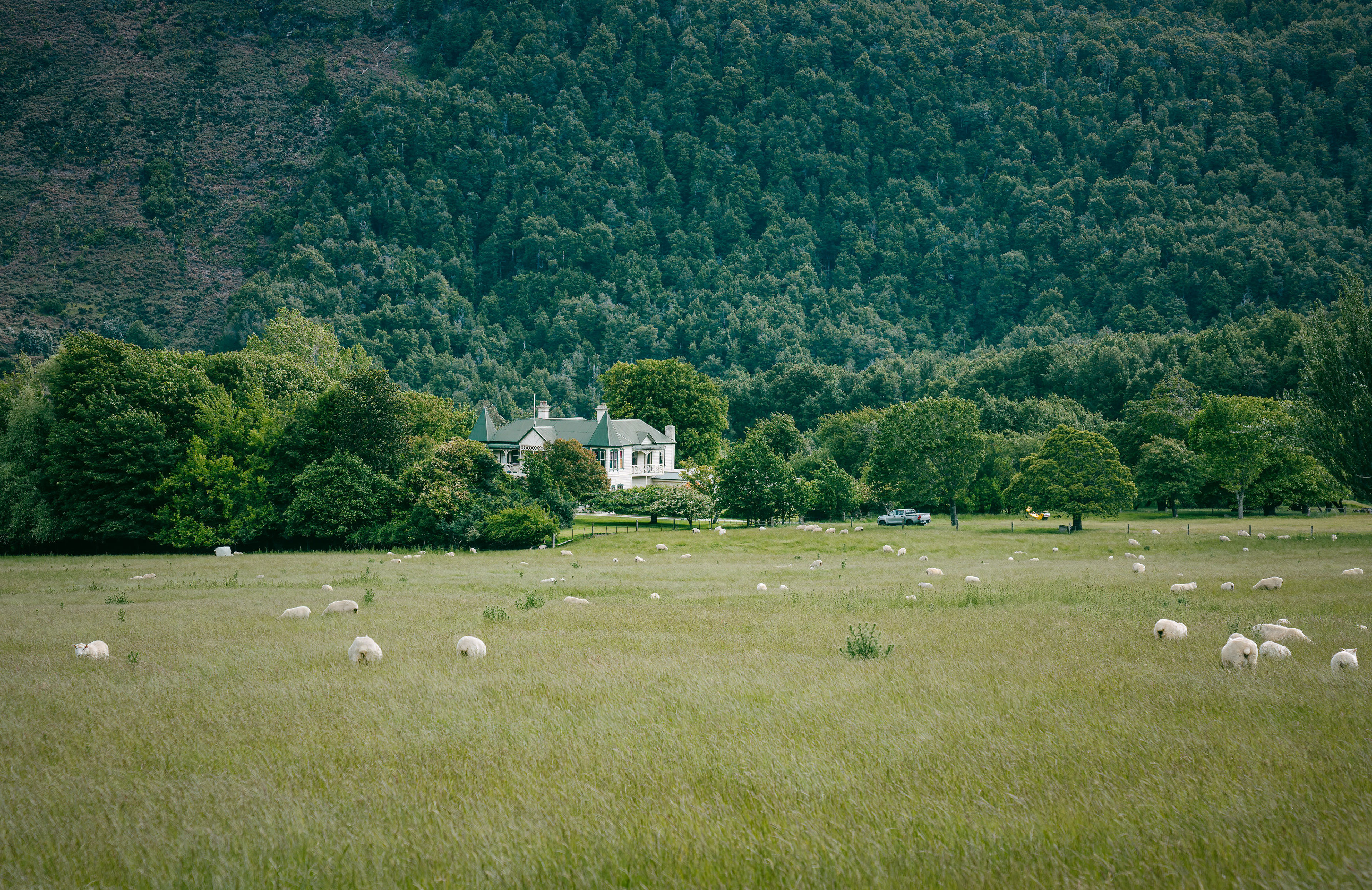 Paradise, New Zealand