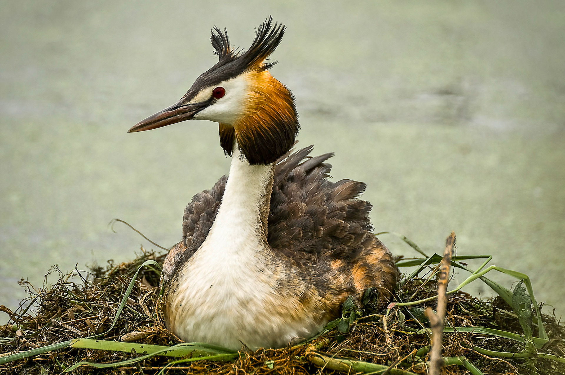 © fotoJAAP