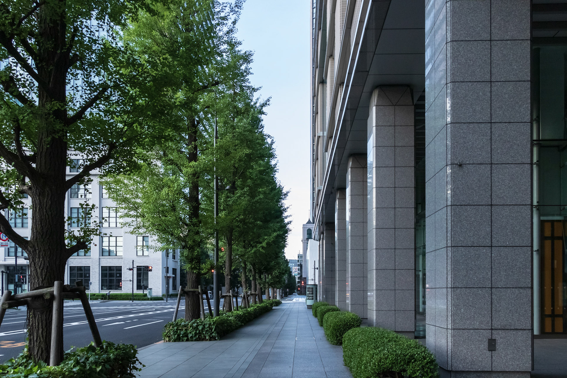Straight-angle view of a sidewalk in Marunouchi, Tokyo, during morning. Trees are standing between the walk path and the carriageway. This image was taken in August 2018, Chiyoda Ward, Tokyo, Japan.
