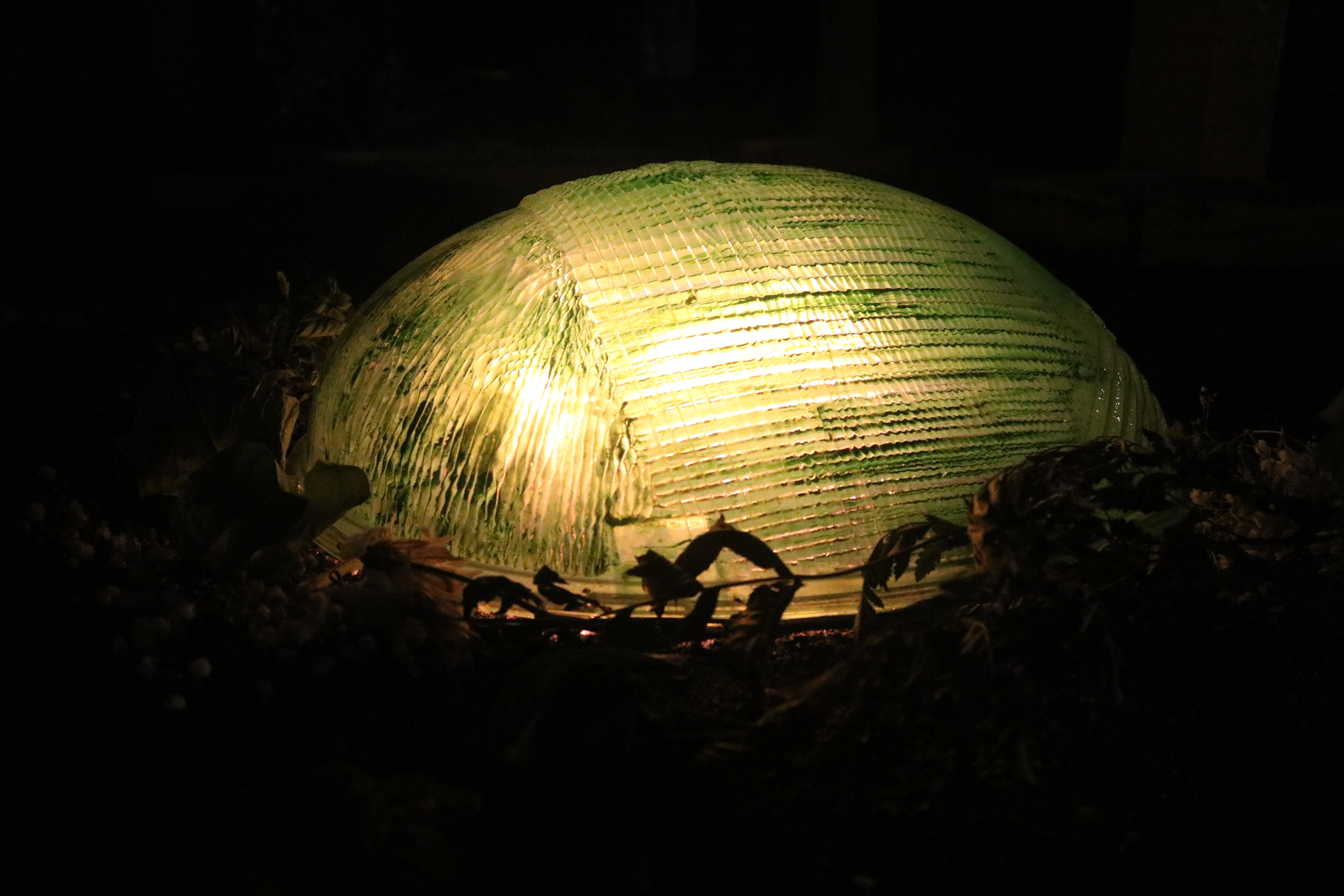 "Green Light" installation still, 2019.