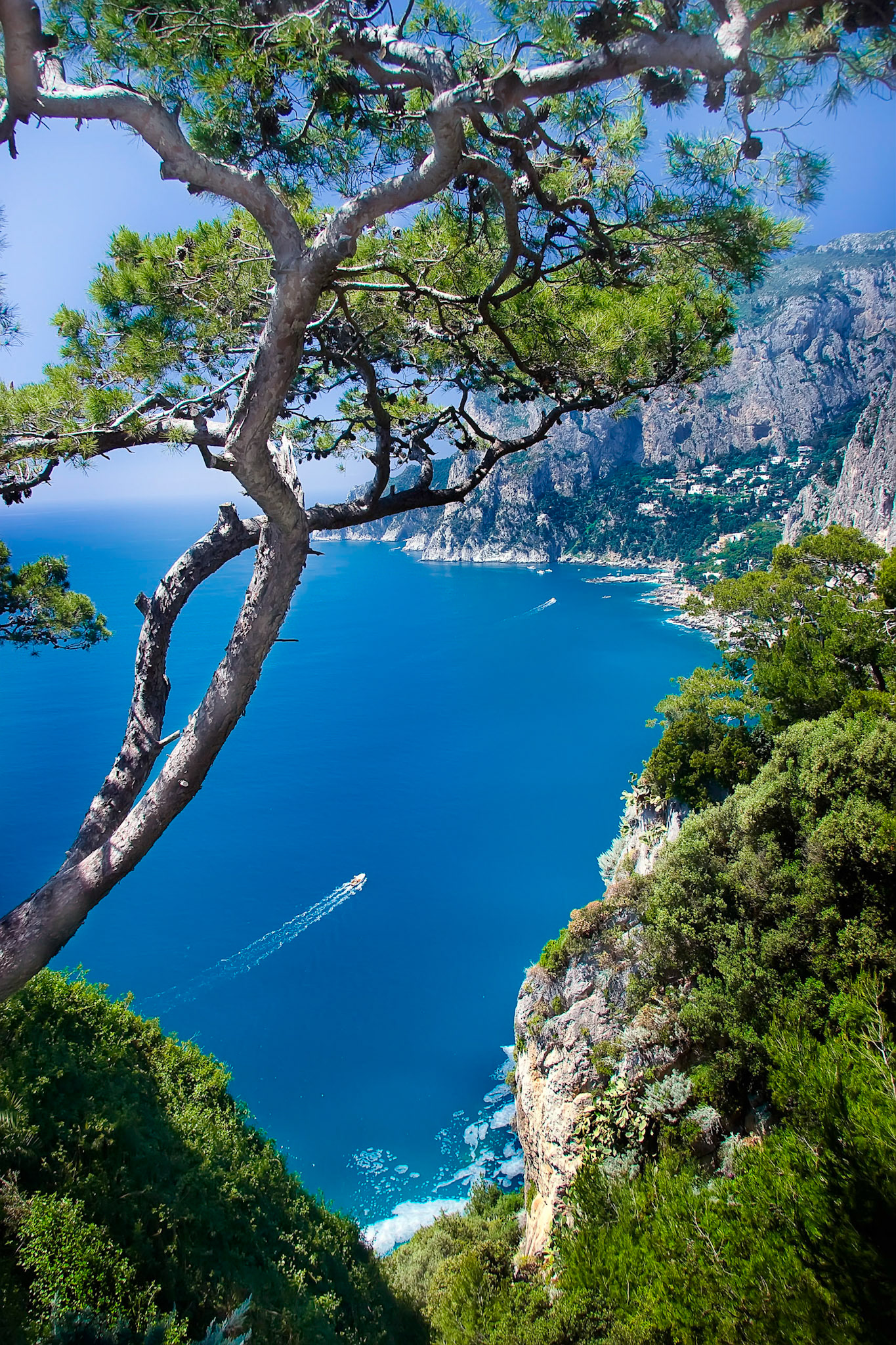 Capri