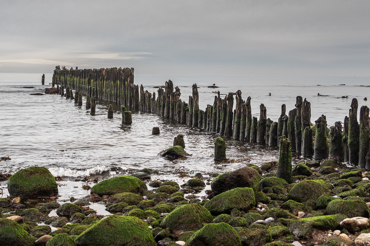 Wellenbrecher am Strand von Glowe