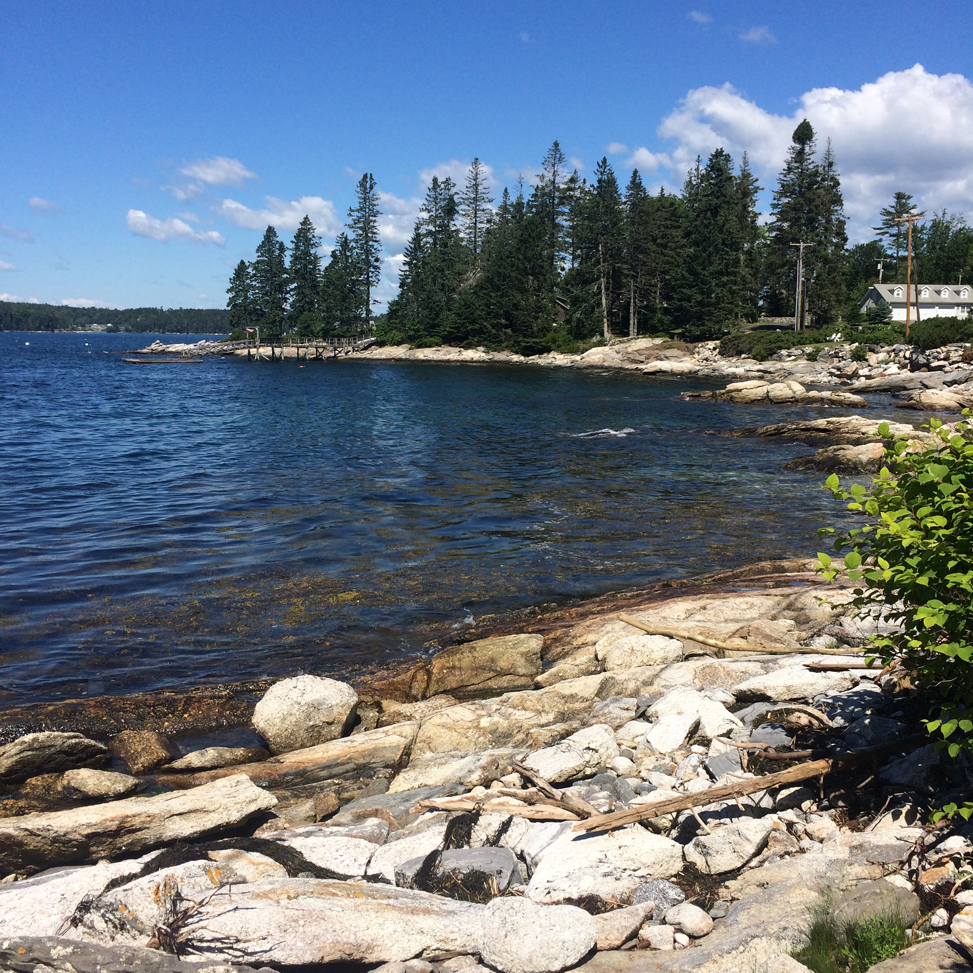 Veronika S Life Boothbay Harbor Maine