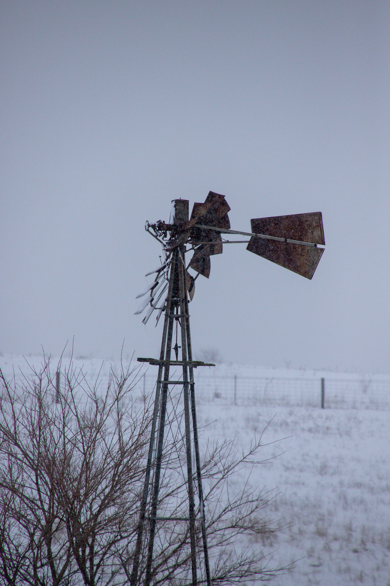 windmills