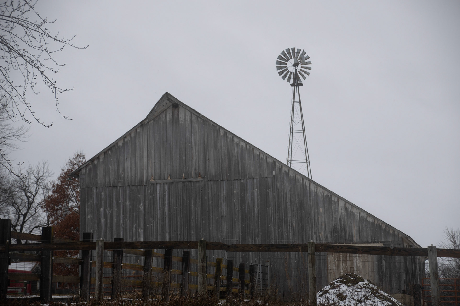windmills