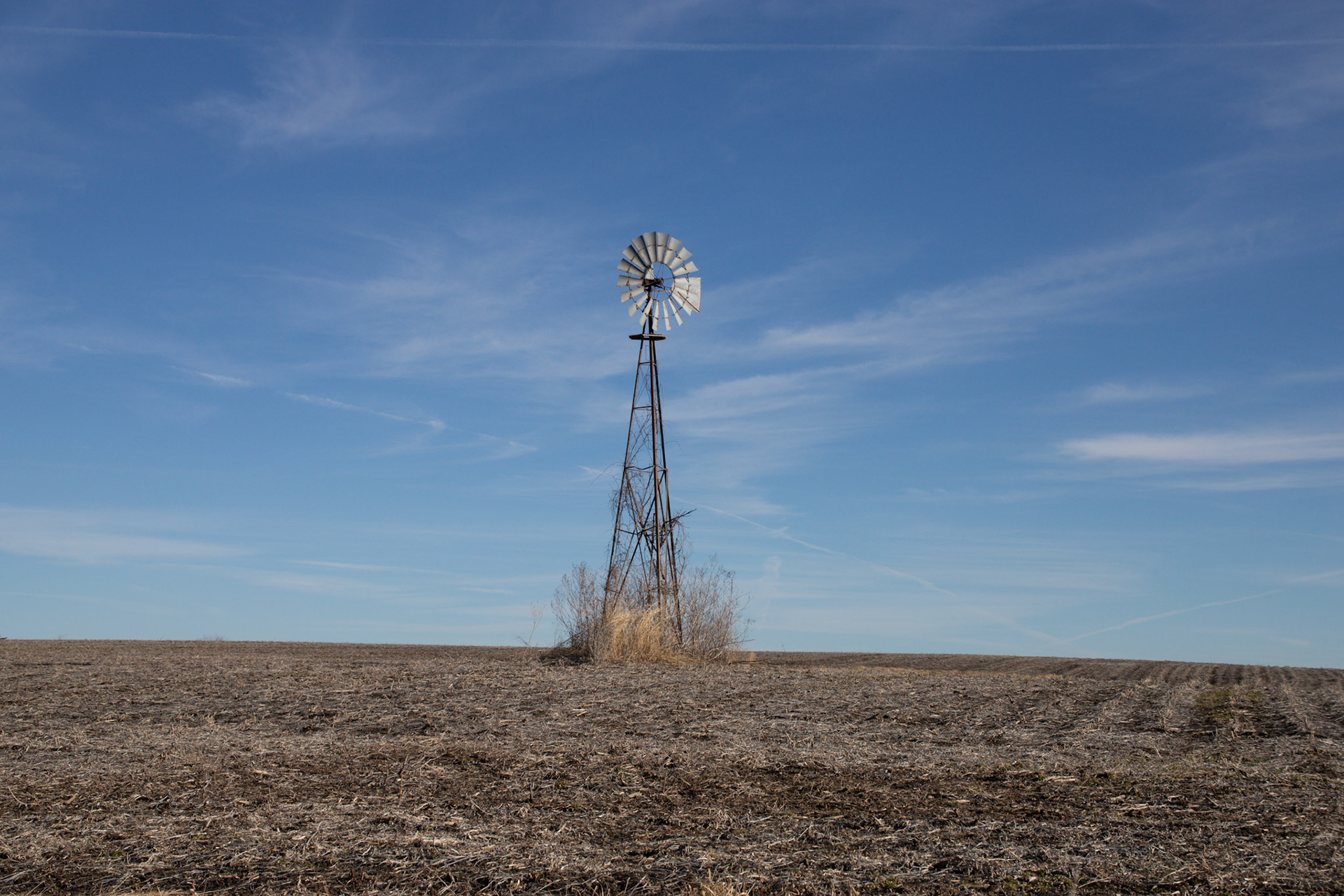 windmills