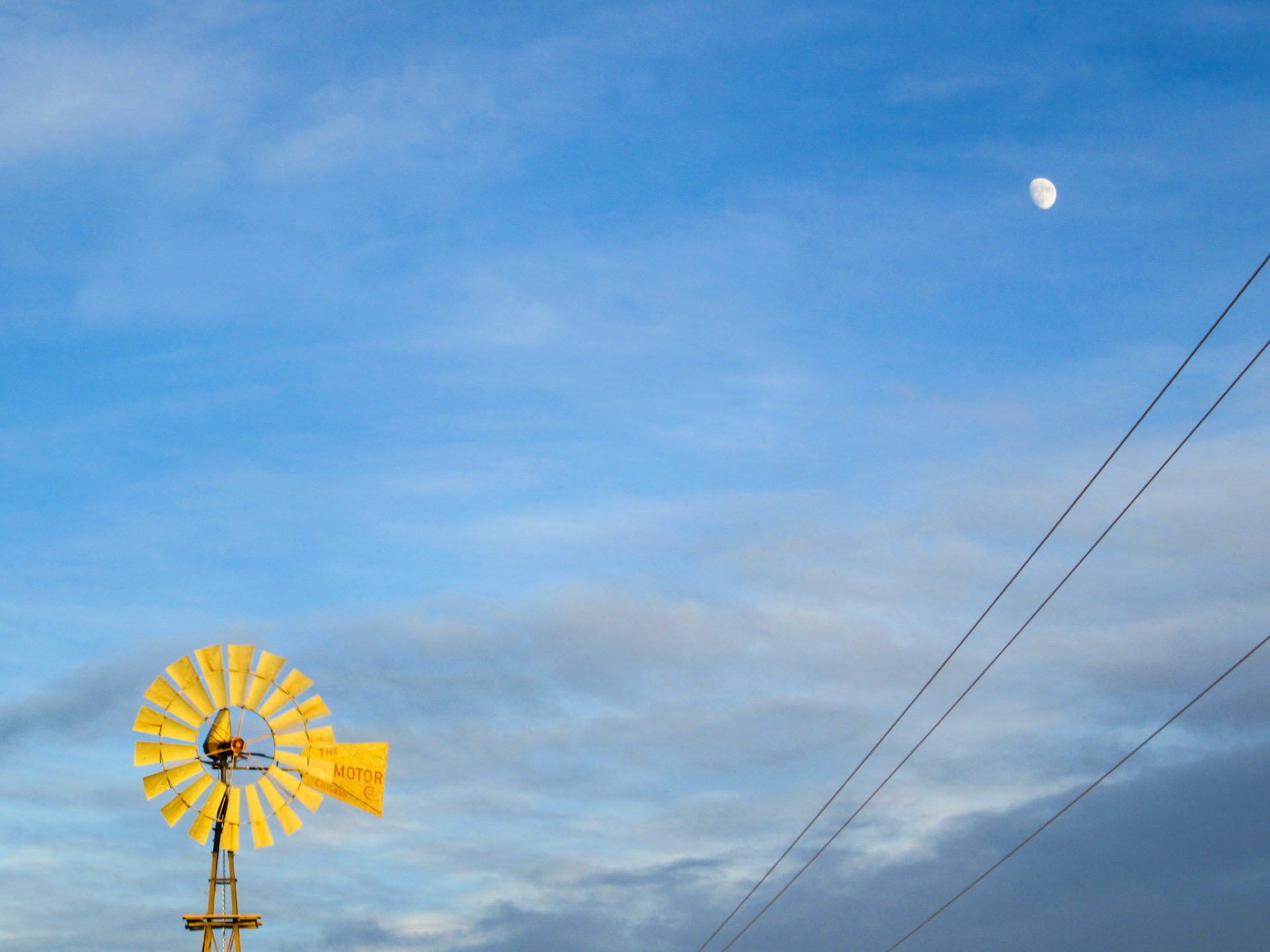 windmills