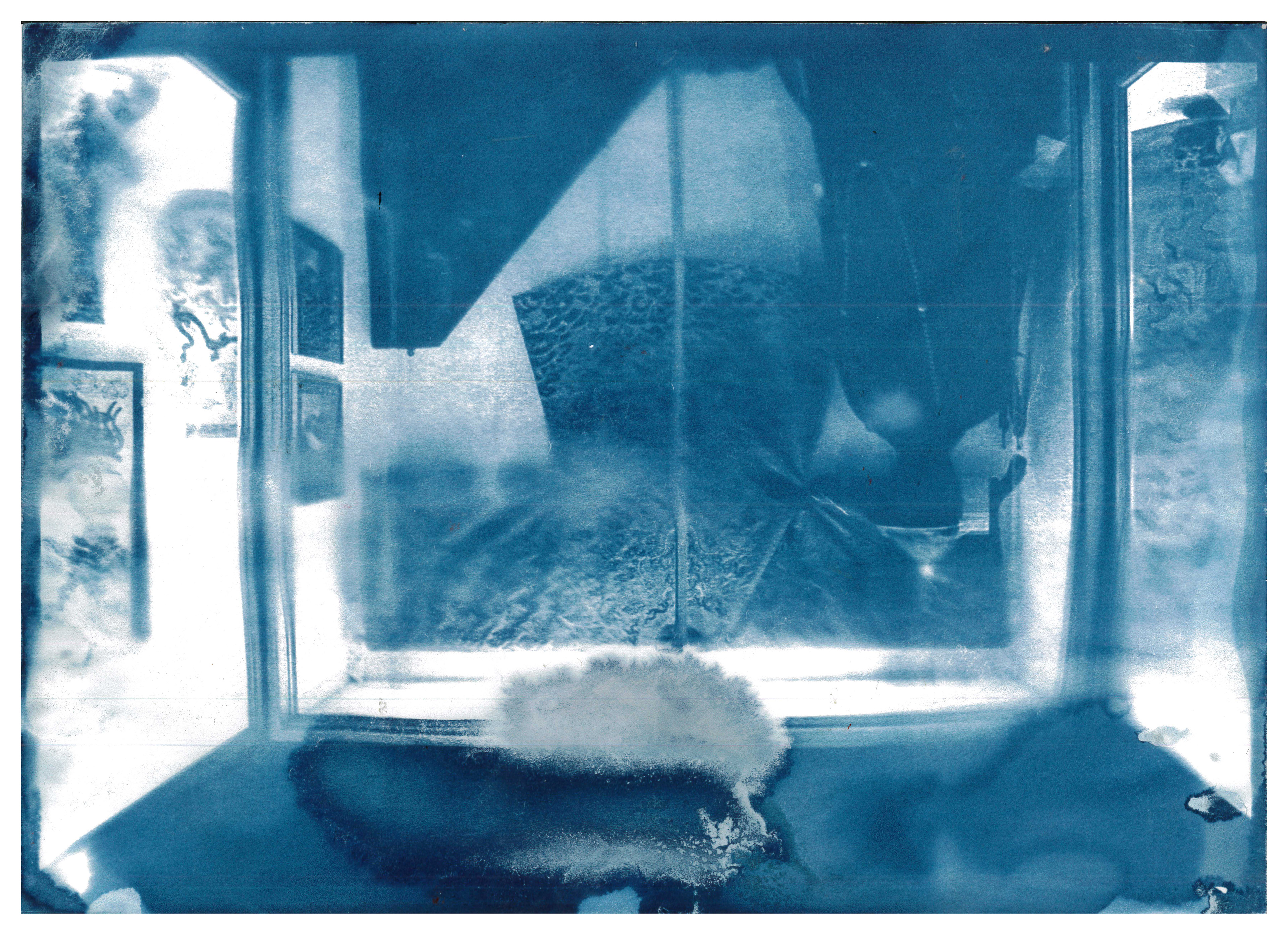 Room Cyanotype from a photo taken in Ipswich Museum, purposely placed upside down for effect, as it draws the viewer in. Cyanotype, 21.0 x 29.7 cm
