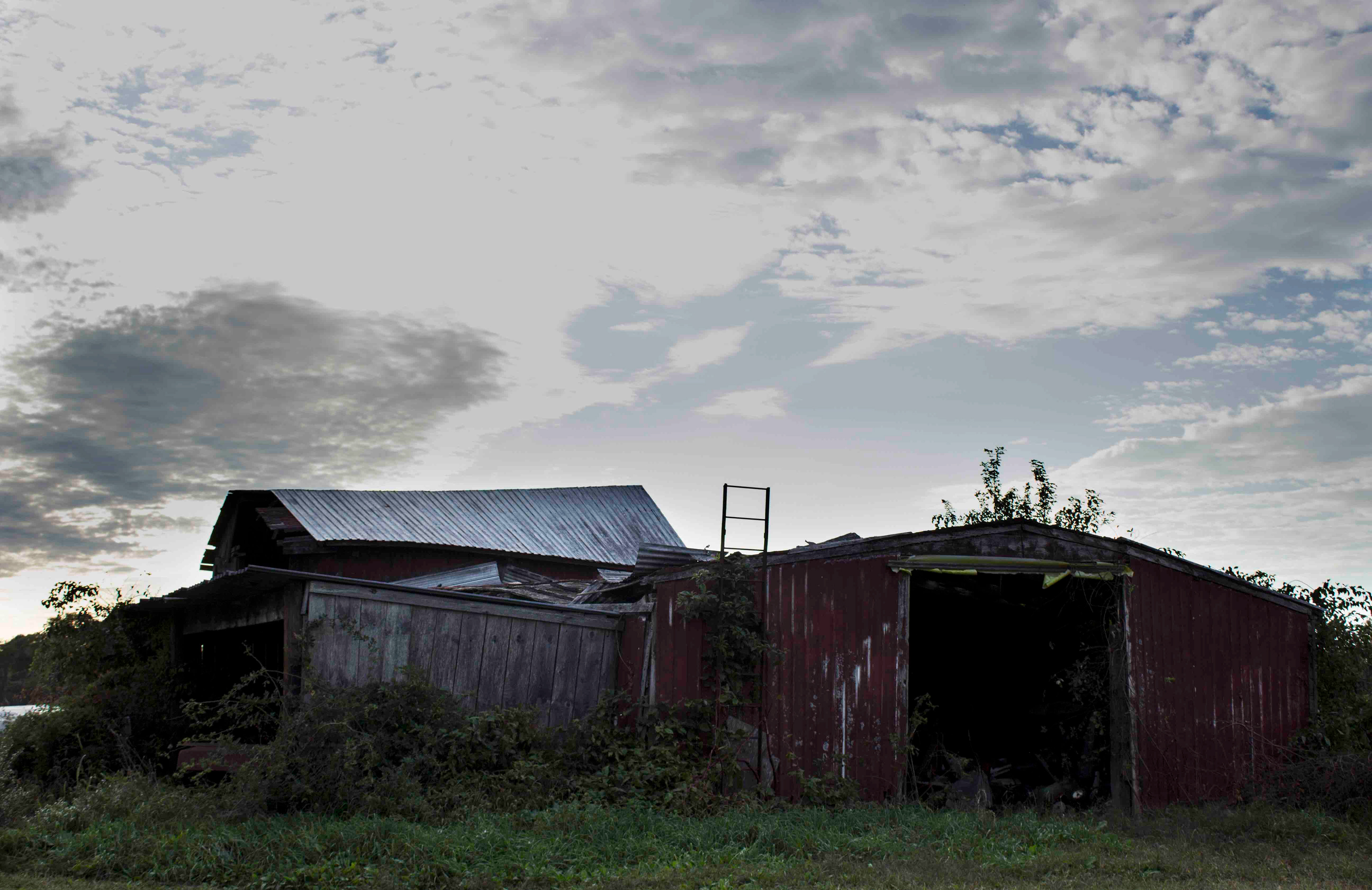 Abandoned Barns in Westport, MA