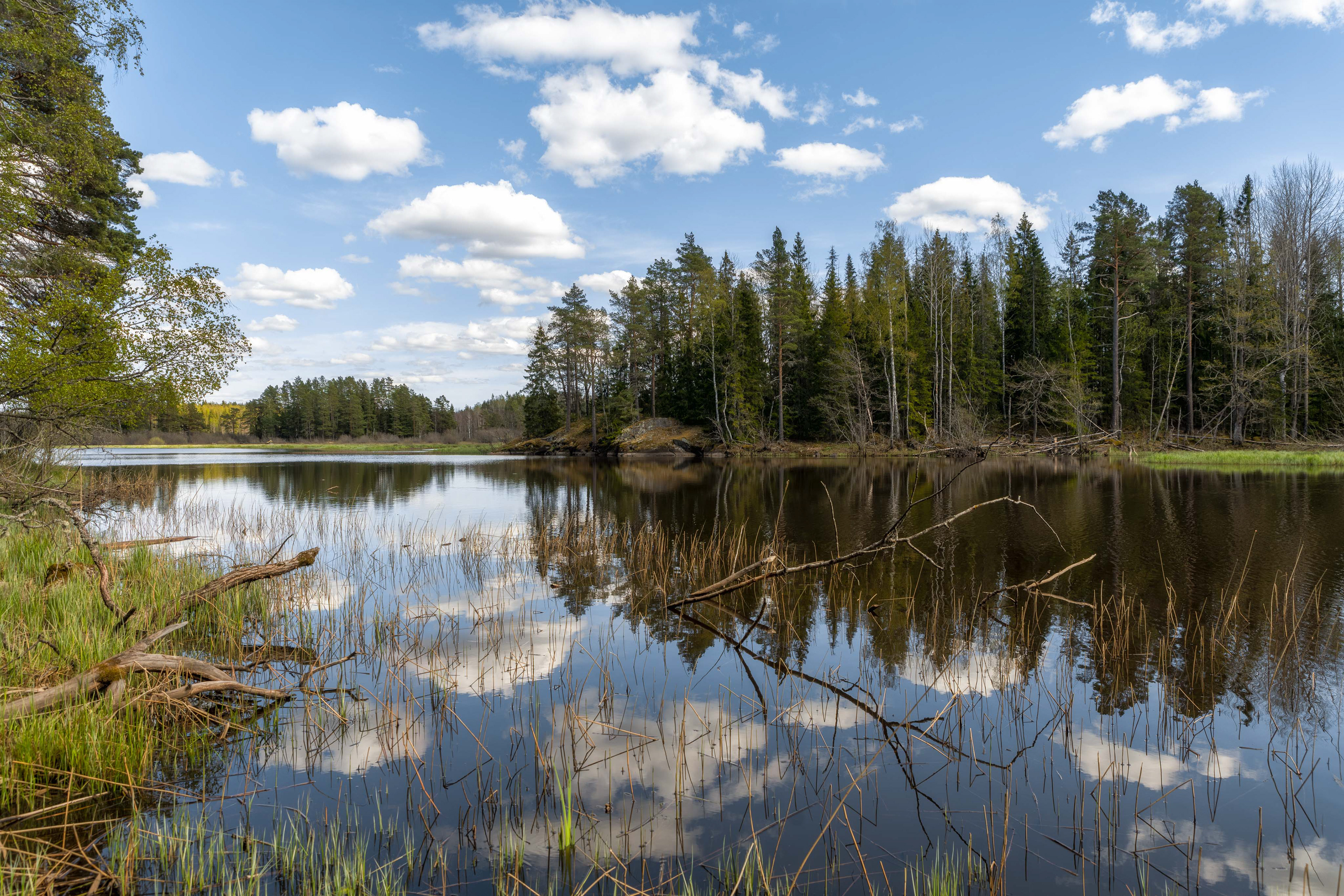 Stepan Kuklik Photography Färnebofjärden National Park