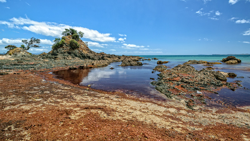 Coromandel Peninsula - Waikato