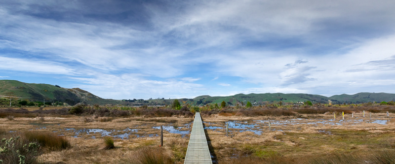 Aramoana saltmarsh walk, Dunedin - Otago