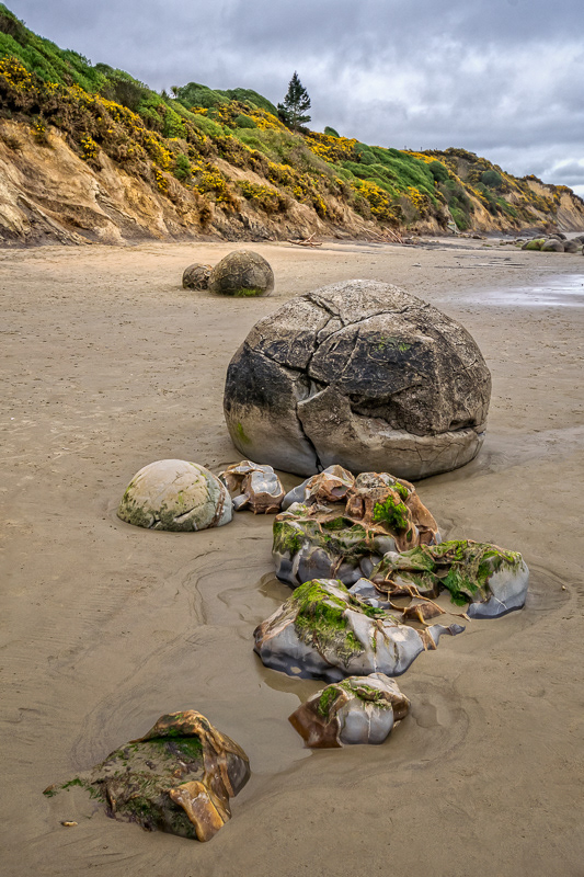 Moeraki Boulders - Otago