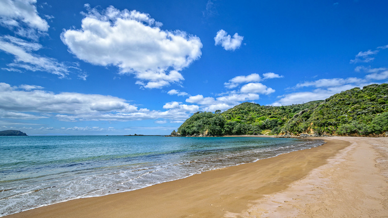 Little Bay, Coromandel Peninsula - Waikato