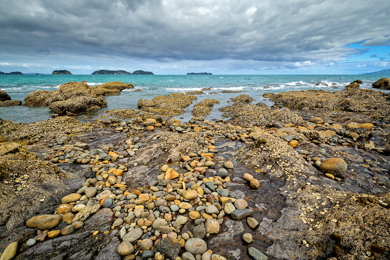 Coromandel Peninsula 1 - Waikato
