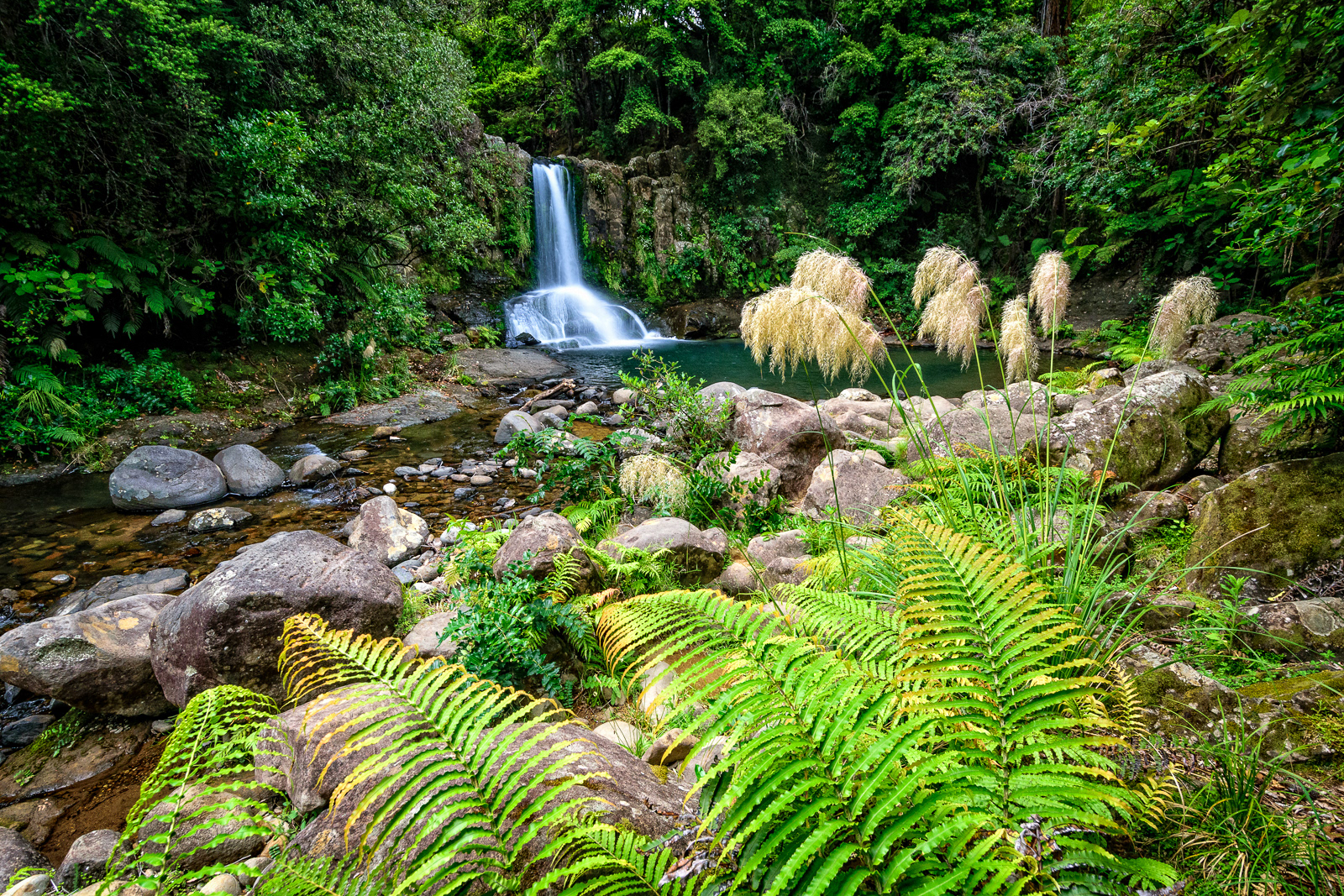 Waiau Falls - Coromandel, Waikato