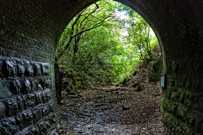 Tunnel Hill, Catlins - Otago